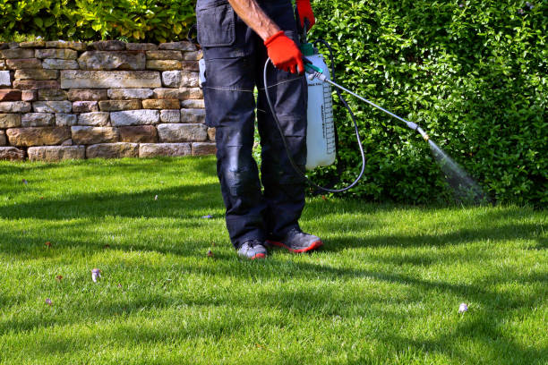 Best Indoor Pest Control  in Crooksville, OH